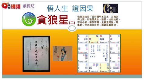 祿存田宅宮|《紫微斗數初階認識》133祿存星入人盤田宅宮－心靈卜手《紫微。